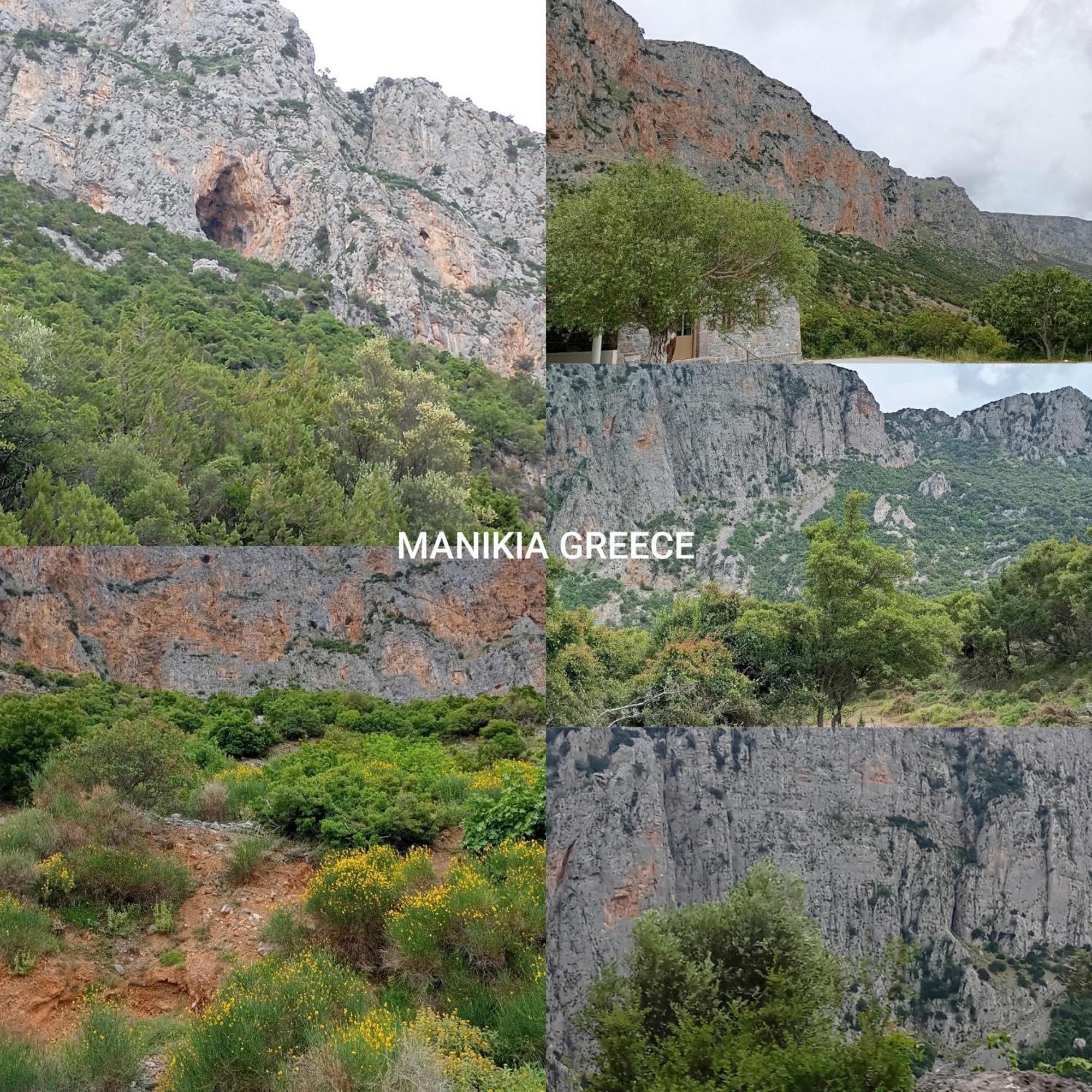 La Nature Konistres Luaran gambar